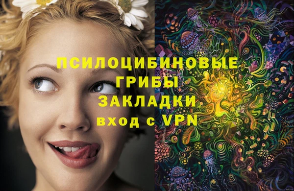 хмурый Алзамай
