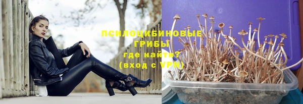 гашик Нягань