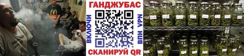 Марихуана сатива Пущино
